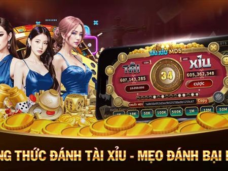 hit club-Sống động và hấp dẫn： Trực tiếp bóng đá!