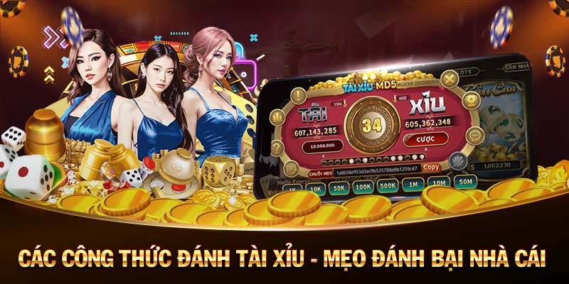 hit club-Sống động và hấp dẫn： Trực tiếp bóng đá!